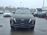 Certified 2024 Hyundai Tucson Blue image 2