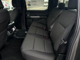 New 2025 Ford F150 XLT w/ Equipment Group 302A MID image 6