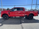 New 2025 Ford F250 XLT image 2
