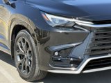 New 2025 Lexus TX 500h AWD image 4