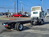 New 2025 Chevrolet Low Cab Forward 5500 XD image 4