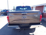 Used 2016 Ford F150 Lariat image 5