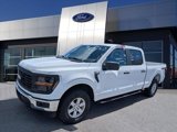 Certified 2024 Ford F150 XL w/ Equipment Group 103A High image 4