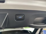 New 2025 Hyundai Tucson Limited image 6