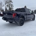 New 2025 Ford F150 Platinum w/ Equipment Group 702A High image 3