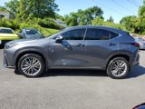 Used 2024 Lexus NX 300h AWD w/ Luxury Package image 4