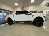New 2025 Ford F150 Lariat w/ Equipment Group 502A High image 2