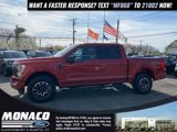 Certified 2023 Ford F150 XLT w/ Equipment Group 302A High image 2