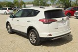 Used 2017 Toyota RAV4 Limited w/ Protection Package image 3