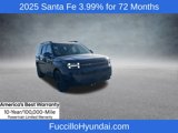 New 2025 Hyundai Santa Fe Calligraphy image 4