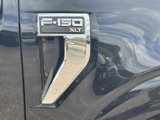Used 2024 Ford F150 XLT w/ Mobile Office Package image 4
