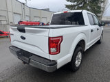 Used 2017 Ford F150 XLT image 4