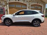 New 2025 Ford Escape ST-Line Select w/ Tech Pack #2 image 6