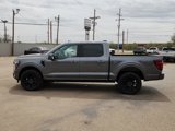 New 2025 Ford F150 Platinum w/ Equipment Group 702A High image 2