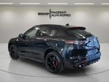 New 2024 Alfa Romeo Stelvio Quadrifoglio w/ Active Assist Plus Package image 5