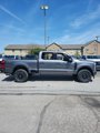 New 2025 Ford F250 Platinum image 5