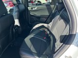 New 2025 Ford Escape ST-Line Elite w/ Tech Pack #1 image 6