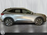Used 2024 Ford Escape Platinum image 4