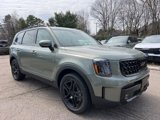 New 2025 Kia Telluride SX X-Line image 5