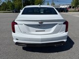 New 2025 Cadillac CT5 Premium Luxury w/ Technology Package image 5
