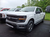 New 2025 Ford F150 XLT w/ Equipment Group 301A Standard image 2