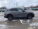 New 2025 Alfa Romeo Stelvio Sprint w/ Veloce Package image 6