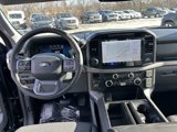 New 2025 Ford F150 XLT w/ Equipment Group 302A MID image 6