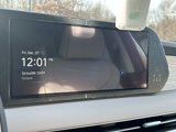 New 2025 Hyundai Palisade Calligraphy image 4