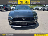 Used 2019 Ford Mustang Premium w/ Ecoboost Performance Package image 2