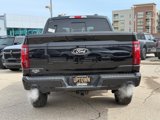 New 2025 Ford F150 XLT w/ Equipment Group 303A High image 5