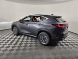 New 2026 Lexus NX 350 AWD w/ Luxury Package image 4