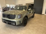 New 2025 Kia Telluride SX Prestige X-Line image 4