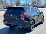 New 2025 Hyundai Palisade Calligraphy image 3