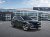 New 2025 Hyundai Tucson SEL w/ Tow & Go Package image 2