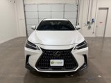 Used 2023 Lexus NX 250 FWD image 2