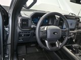 Used 2024 Ford F150 XLT w/ Equipment Group 302A MID image 4
