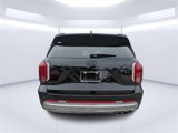 New 2025 Hyundai Palisade Calligraphy image 4