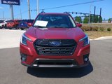 Certified 2024 Subaru Forester Limited image 2