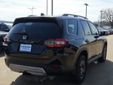 New 2025 Honda Pilot TrailSport image 5