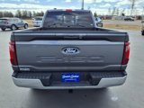 New 2024 Ford F150 XLT w/ Equipment Group 303A High image 5