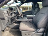 New 2025 Ford F150 XLT w/ Equipment Group 301A Standard image 5