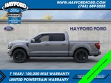 New 2025 Ford F150 Platinum image 3