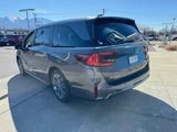 New 2025 Honda Odyssey Touring image 5
