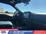 New 2025 Ford F150 XLT w/ Equipment Group 302A MID image 3