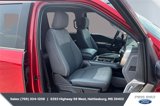 Certified 2022 Ford F150 XLT w/ Equipment Group 302A High image 6
