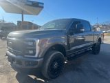 New 2025 Ford F250 XL w/ Snow Plow Prep Package image 2