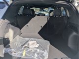 New 2025 Ford Escape ST-Line Elite w/ Premium Technology Package image 5