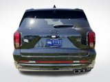 New 2025 Hyundai Palisade Calligraphy image 4