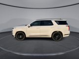 New 2025 Hyundai Palisade Calligraphy image 5