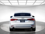 Used 2019 Audi A5 2.0T Premium image 3